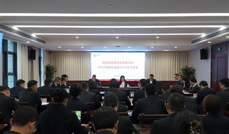 企业动态 | ag尊龙平台公司召开2024年度总结暨 2025年岁情会